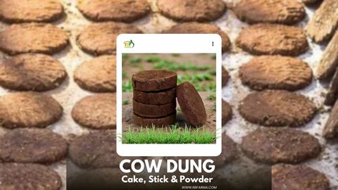 Cow Dung Cake