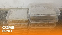 Comb Honey